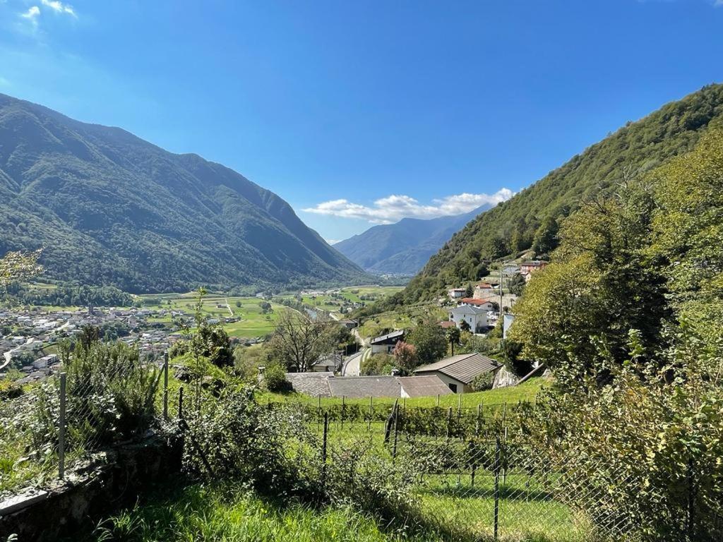 Rustico A Gr *